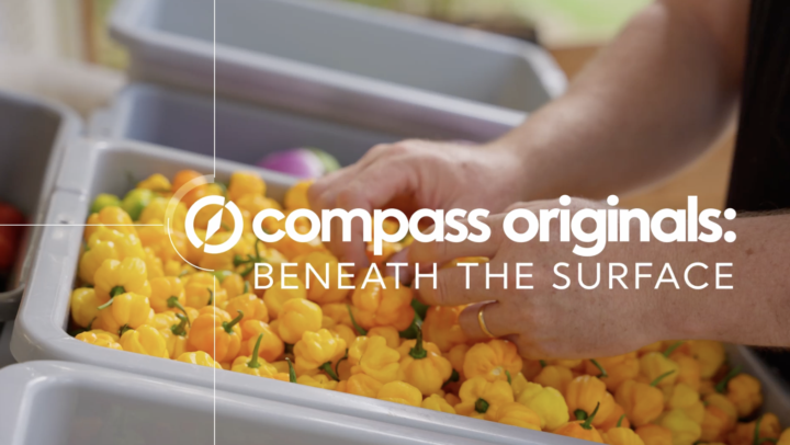 Beneath The Surface: Hot Sauce